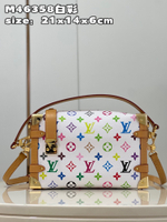 Louis Vuitton Side Trunk