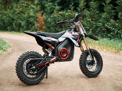Электрический питбайк BUTCH X1 1.3 kW 12-10 2023 г