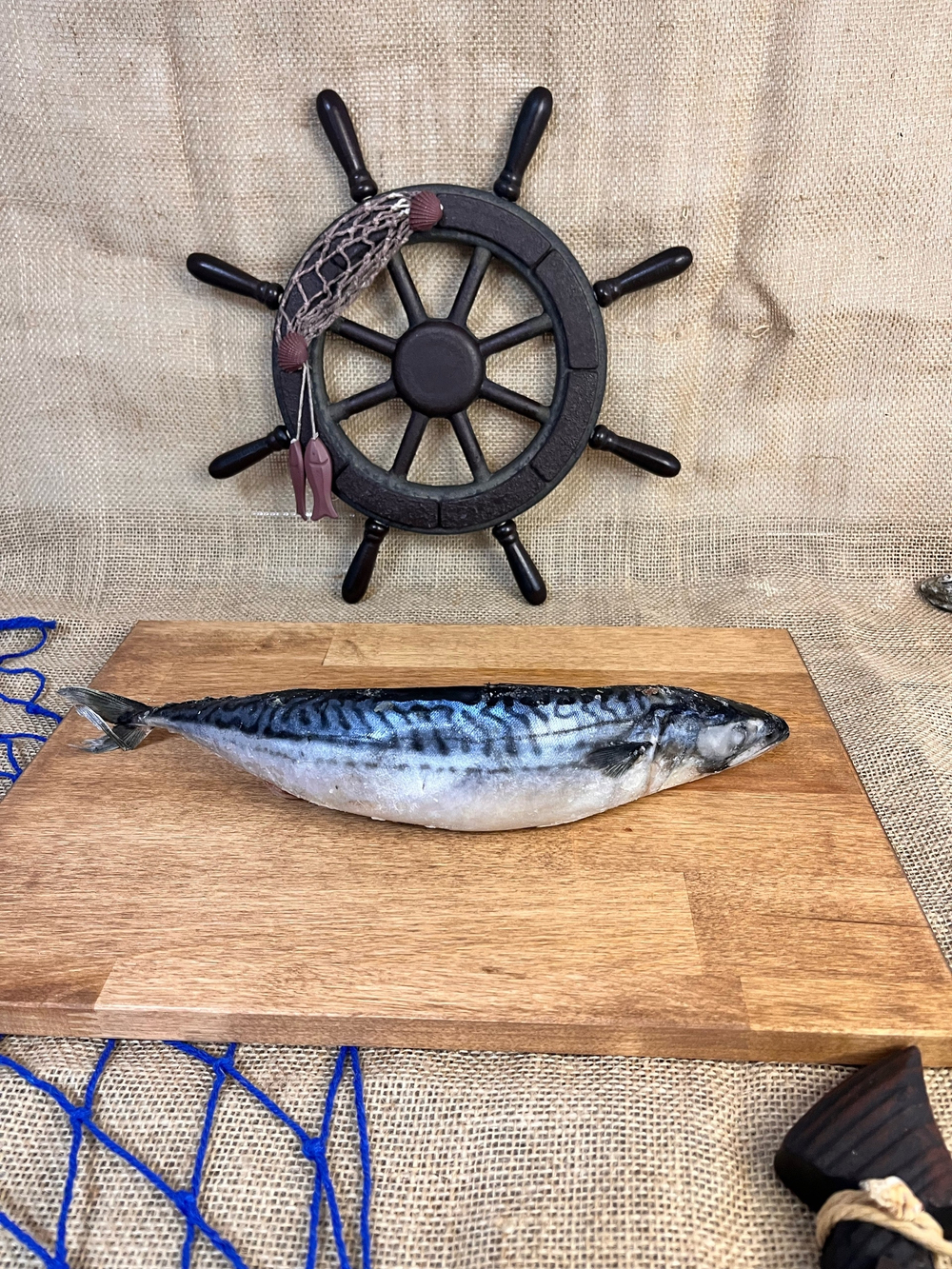 Скумбрия атлантическая