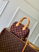 Louis Vuitton Speedy Trunk 20