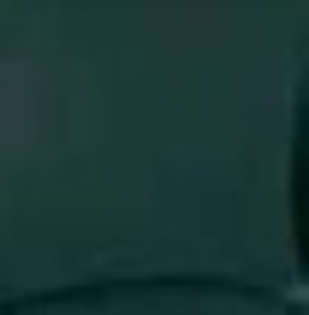 Стул Beetle, набор из 2 шт GUBI пластик/металл/green без обивки 580х560х870h