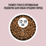 Сухой корм для собак средних пород с индейкой, рисом, яблоком BOWL WOW 5кг