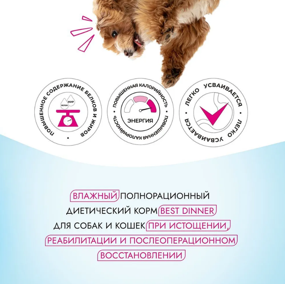 Влажный корм консервы для собак и кошек Best Dinner Vet Profi Recovery 0,1кг (диета восстановления в послеоперационный период). 12 упаковок