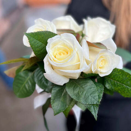 Норма Джин — композиция непревзойдённых ароматных белых роз