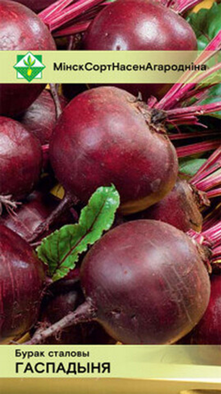 Свекла столовая "Гаспадыня" 2г, Беларусь.