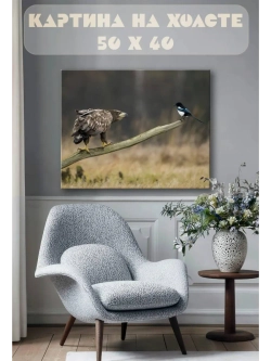 Картина на стену 40 X 50 Орлан