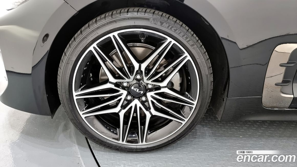 Kia Stinger Meister 2.5 Platinum (11.2022)