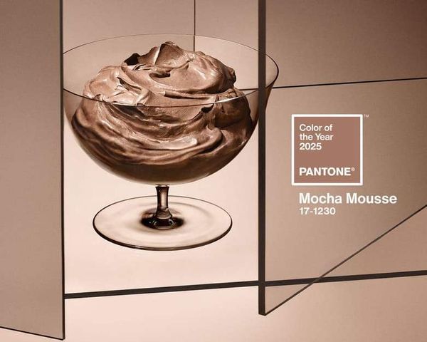 Мокка Мусс: Главный цвет 2025 года по версии Pantone