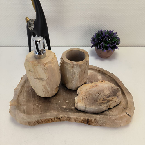 Набор из окаменелого дерева 4 предм Fossil Set NF-63068 поднос 27см*38см