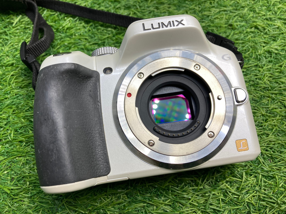 Panasonic Lumix G5 (25.310 кадров)