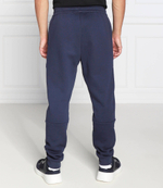 спортивные штаны EA7 - темно-синий(6LPP62 PJ07Z)