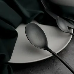 Ложка столовая 21 см матовая черный цвет PVD Alessi-Black P.L. [12]