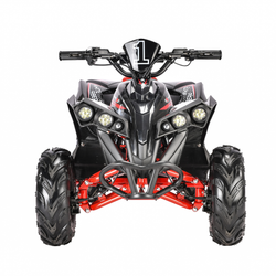 Детский электроквадроцикл White Siberia SNEG R 178W Черный