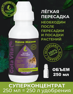 Легкая пересадка