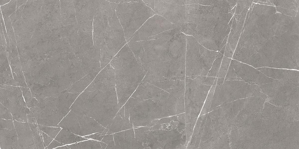 Керамогранит Encanto серый 60*120 Soft Sugar GT120603001SPR