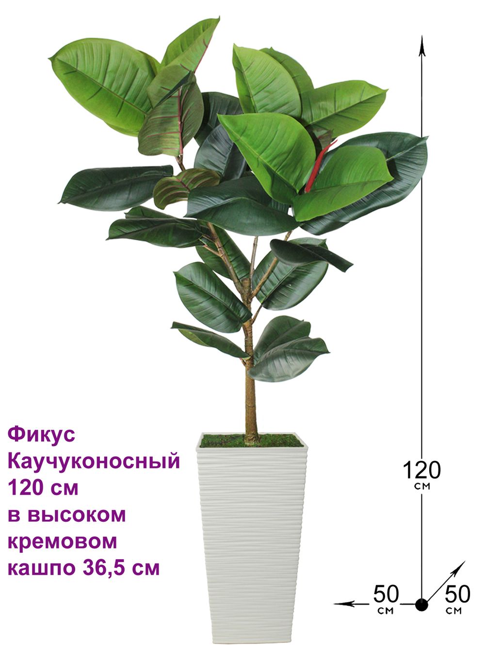 Искусственное растение Фикус каучуконосный 120 см в высоком кремовом кашпо 36 см