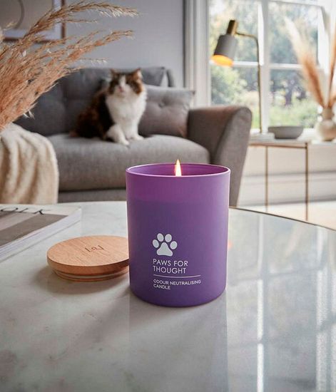 Держи лапу ароматическая свеча, Wax Lyrical