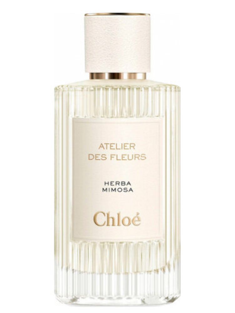 Chloé Herba Mimosa