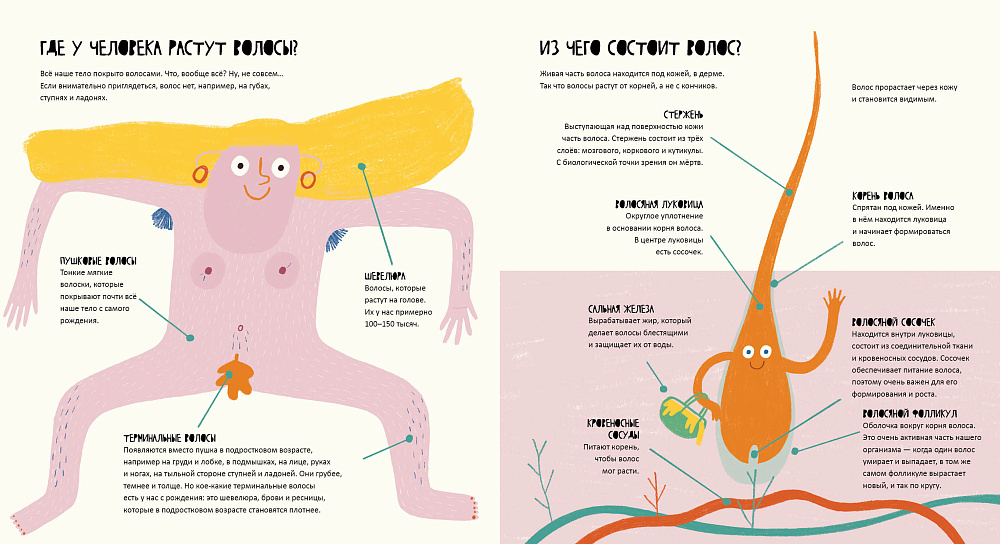 Тайная жизнь волос