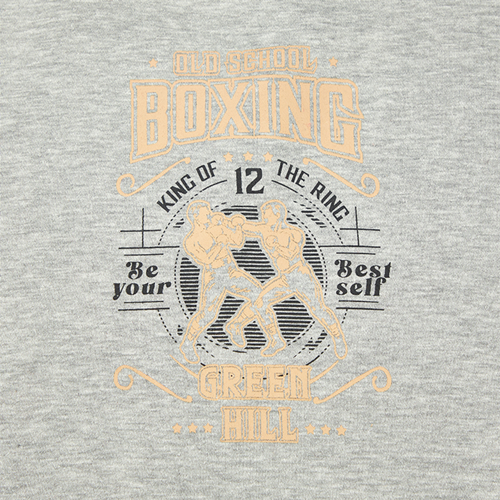 FH-10274BN Толстовка OLD SCHOOL BOXING серая