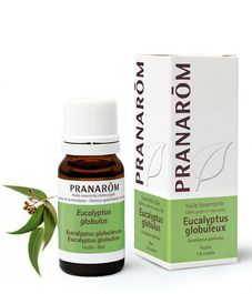 Натуральное эфирное масло Эвкалипт шаровидный, Pranarom