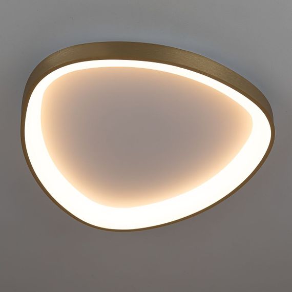 Потолочный светодиодный светильник Citilux Genka Smart CL756A142