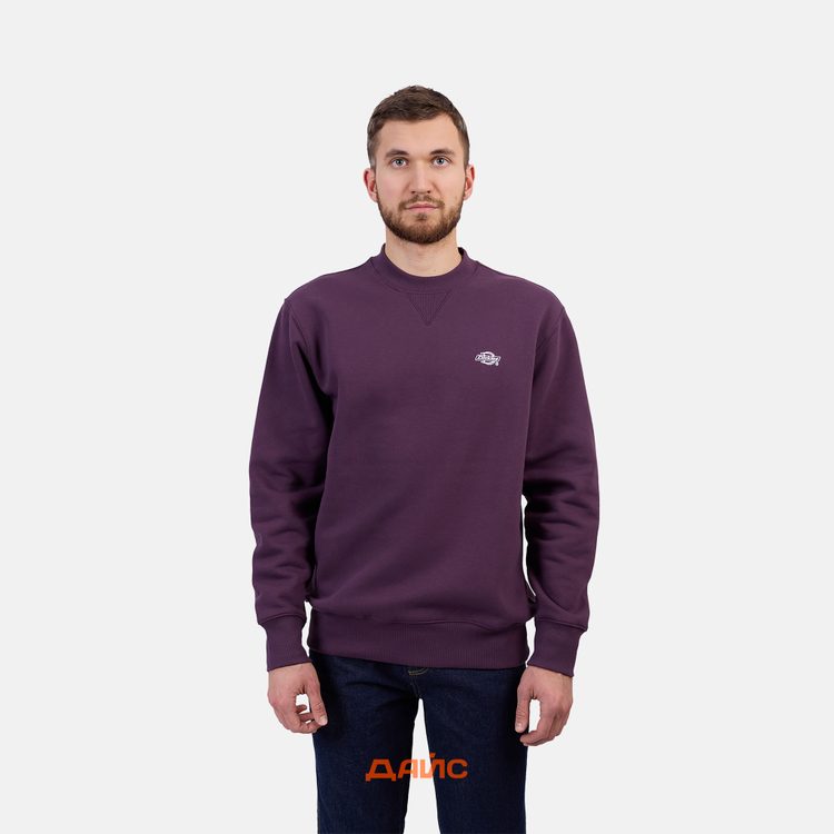 Толстовка мужская Dickies Summerdale Sweatshirt  артикул:DK0A4Y6QJ561 - купить в магазине Дайс
