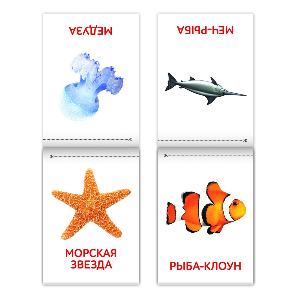 Книги «Карточки Домана. Окружающий мир», набор, 8 шт. по 20 стр.
