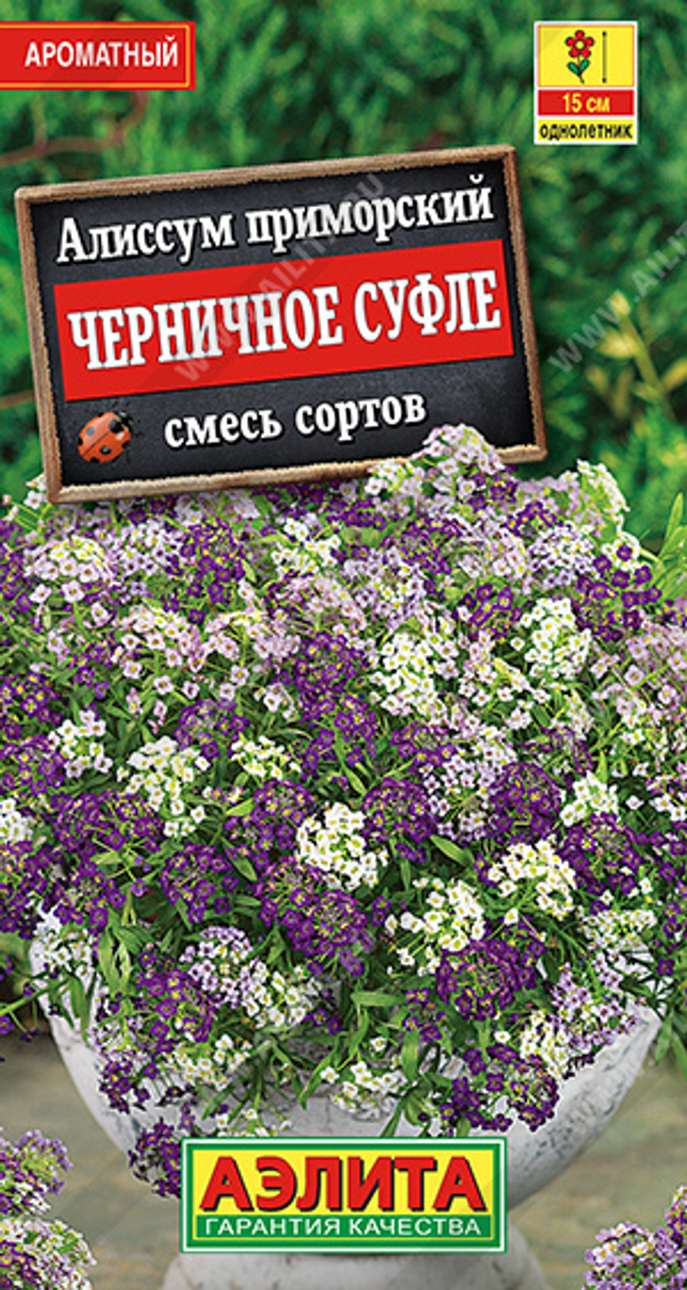 Алиссум Черничное суфле, смесь сортов 0,05гр Аэлита