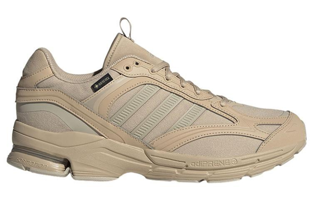 Кроссовки Adidas Spiritain 2000 Gtx