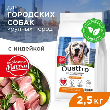 Корм сухой для взрослых собак крупных пород, премиум полнорационный комплекс, для городских собак, с индейкой, 2,5 кг, QUATTRO
