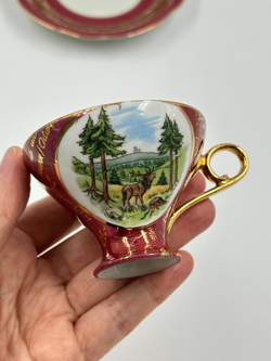 Кофейная чашка Gebr Bauer с блюдцем Schwarzenhammer