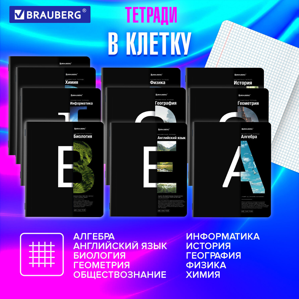Тетради предметные комплект 12 ПРЕДМЕТОВ 48 л. матовая ламинация BRAUBERG "INTELLIGENCE" (2 штуки в упаковке)