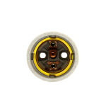 B61E8C4A80D2315C9FC3D7962BA2A581_278933450.jpg