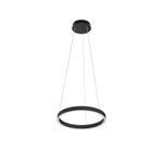 Люстра подвесная светодиодная Maytoni Rim MOD058PL-L22BK