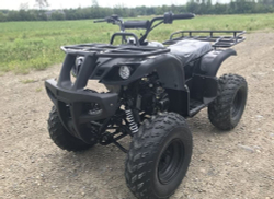 Квадроцикл HAMMER Hunter 300