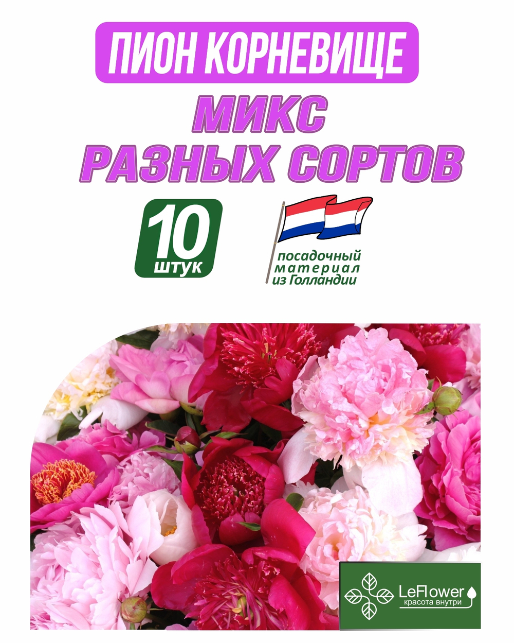 Пион Корневище, Микс разных сортов, 10шт