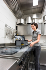 Профессиональный пароочиститель SG 4/2 Classic