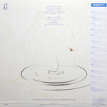 Pooh / Buona Fortuna (LP)