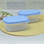 Набор контейнеров 2шт 0,65л "Цветущий сад"