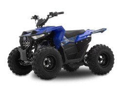Квадроцикл SHARMAX Cross 200
