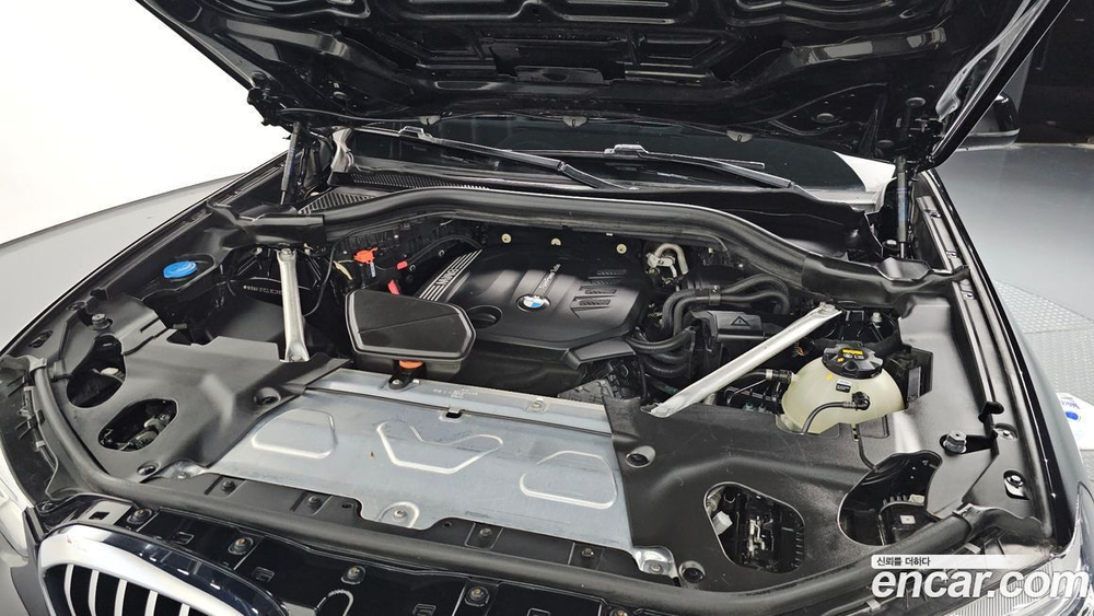 BMW X4 (G02) xDrive20d xLine (05.2020)
