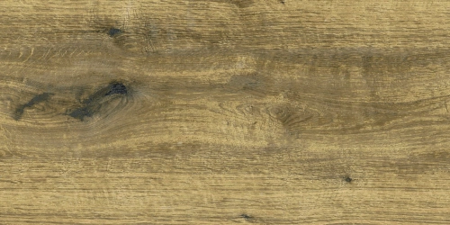 Керамическая Плитка Облицовочная PRIMAVERA/ТШ Палисандр коричневый (ТР3652ВМ) 300х600х8,5 1,8/86,4