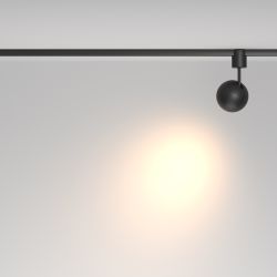 Трековый однофазный светодиодный светильник Maytoni Elasity Sfera TR164-1-8W3K-M-B