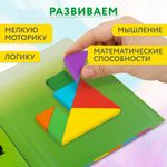 Головоломка развивающая деревянная "Танграм", на магнитах, с примерами, BRAUBERG KIDS, 665260