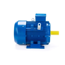 Электродвигатель ESQ 315 LB6-SDN- 132/1000 IMB3