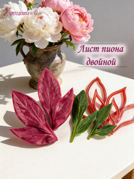 Лист пиона двойной