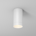 Уличный потолочный светильник Outdoor O500CL-L5W3K