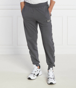 Спортивные штаны EA7 - графитовый(6RPP54 PJ05Z)