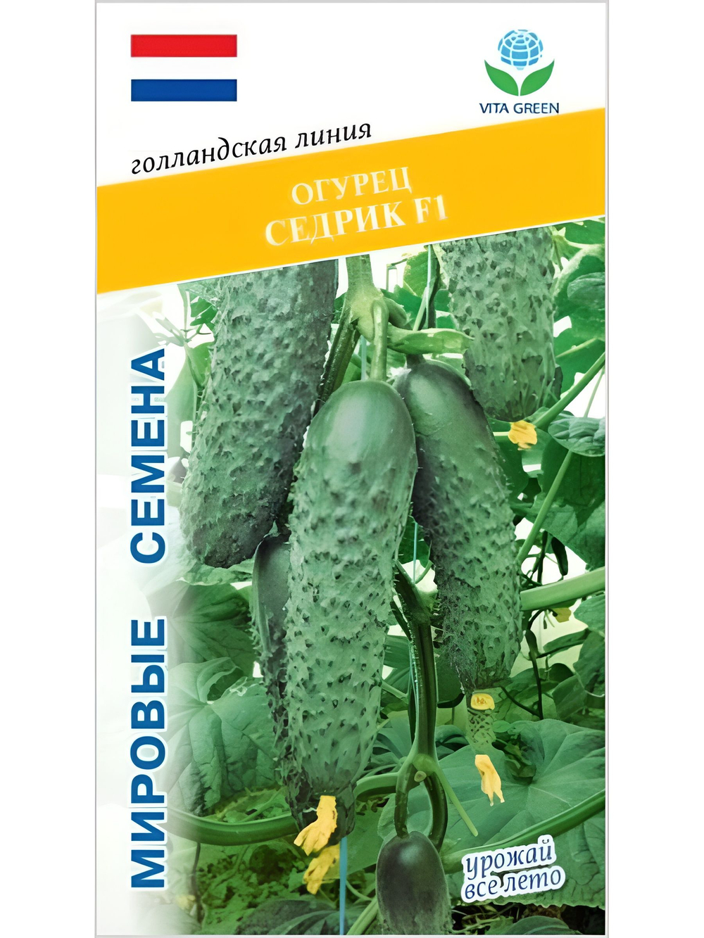 Семена огурцов Седрик F1, 7 семян (Vita Green / Вита Грин)